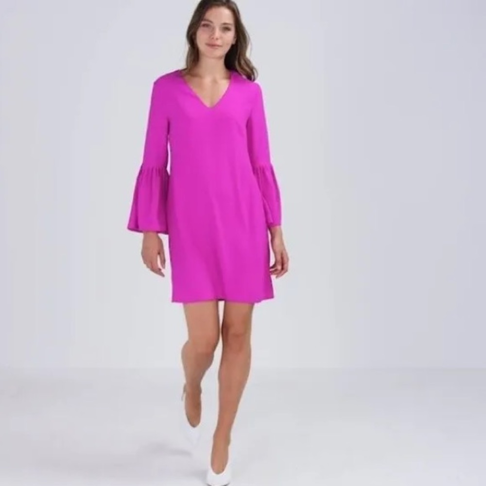 Banana Republic Fuschia Dress
